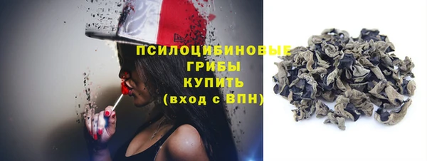 ГАЛЛЮЦИНОГЕННЫЕ ГРИБЫ Новочеркасск
