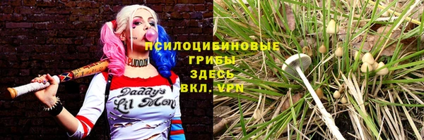 круглые Арсеньев