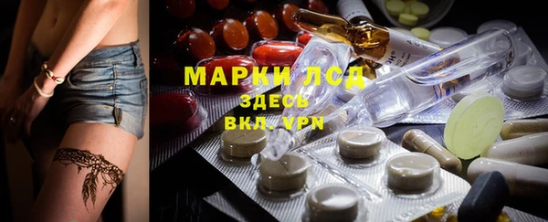 дмт Аркадак